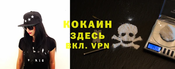 ешки Алексин