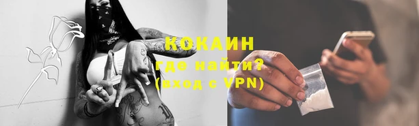 дживик Алзамай