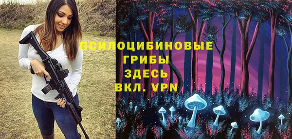 соль ск Алексеевка